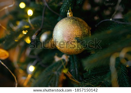 Christmas and New Year's winter holidays. The tree is decorated with garlands of cones and lights. The golden ball hangs on the tree as a decorative element. Free space for text