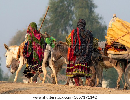 shepherd woman in traditional dress , 
nomadic life of shepherds traveling with sheep in the the dust 