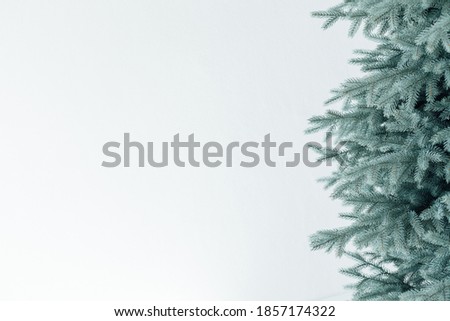 Christmas tree decor holiday new year place for inscription
