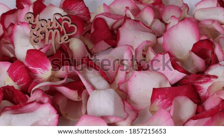 
wooden heart on a background of rose petals