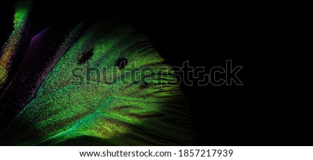 bright colorful wing of a tropical butterfly on black copy space. golden butterfly wing close up. green in nature 