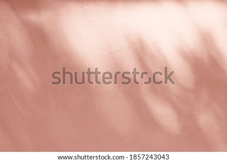 Nature Leaves on Rose Gold Paint Concrete Wall Background.