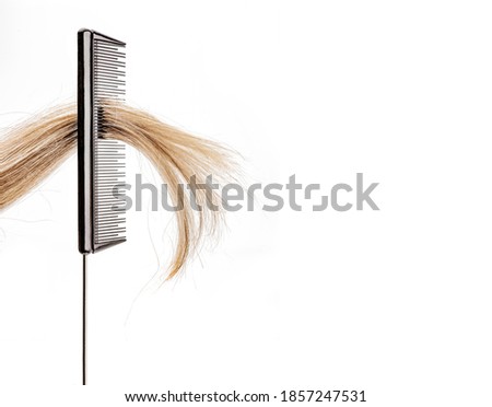 Strand of hair in a style comb against a white background