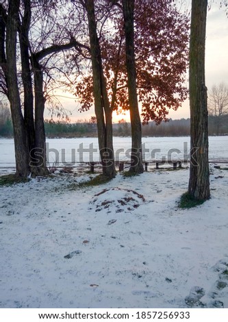 Winter landscape. The sunset is visible through the trees. The first snow fell. The sun illuminates the trees. There is still autumn leaves on the tree.