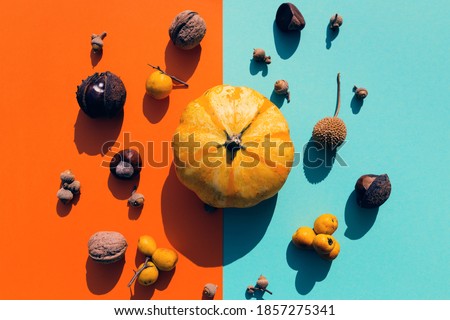 Autumn creative composition made of pumpkin, nuts and acorns on colorful background. Autumn, fall, halloween concept. Flat lay, top view.