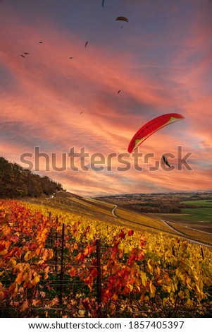 Paragliding over German vineyards in autumn