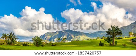 Amazing view of green lawn of a golf course with palm trees, mountains on the background. Location: Buenavista del Norte, Tenerife, Canary Islands. Artistic picture. Beauty world. Panorama
