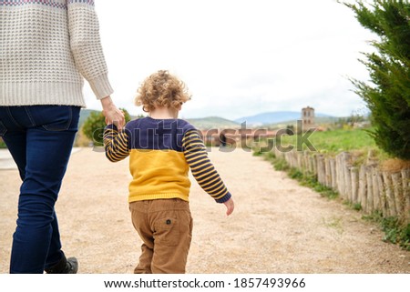 Mother and son walking hand in hand, back view