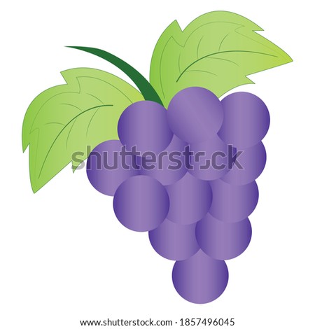 Bunch of grapes. Fruit icon. Healthy food - Vector