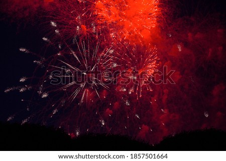 Beautiful colorful firework at night