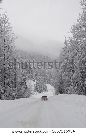portrait picture of snowy road with car in the distance and trees with snow on the side with foggy landscape