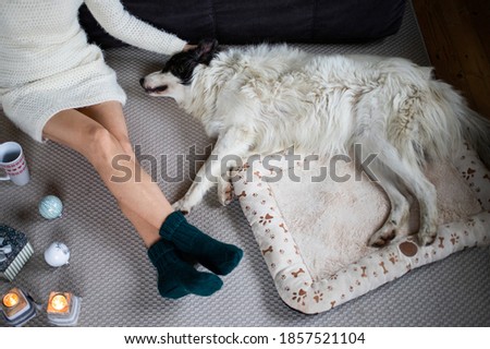 woman at home with dog hygge at Christmas time