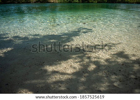 Green trees on a tropical beach with beautiful sky. Amazing blue lagoon. Super clean water.