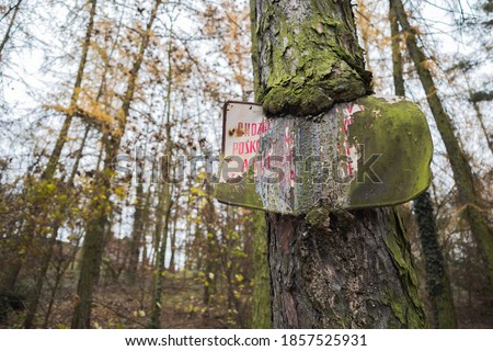 An old sign half-ingrown into a tree. Warning forest visiters about the ban.