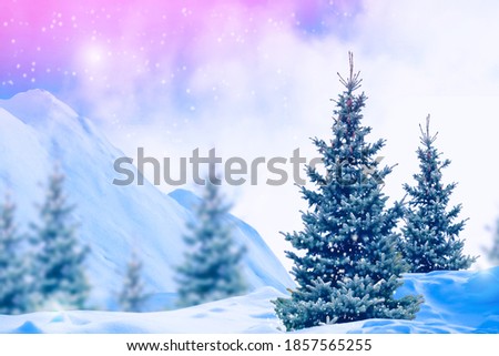 Frozen winter forest with snow covered trees. outdoor. Merry Christmas and Happy New Year.
