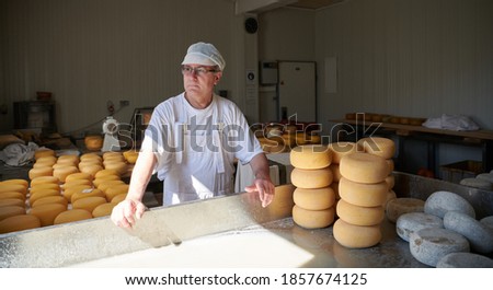 Cheese maker at local production factory