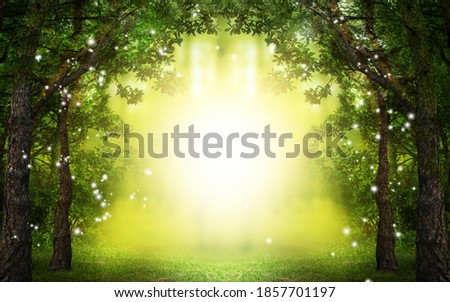 Fantasy world. Enchanted forest with magic lights and sunlit way between trees Royalty-Free Stock Photo #1857701197
