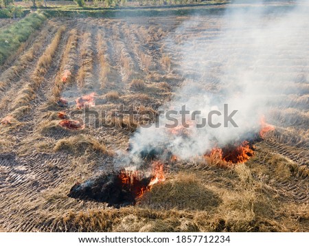 Aerial view of stubble of burning or crop burning .Vurning dry grass after harvest.Drone shot flying