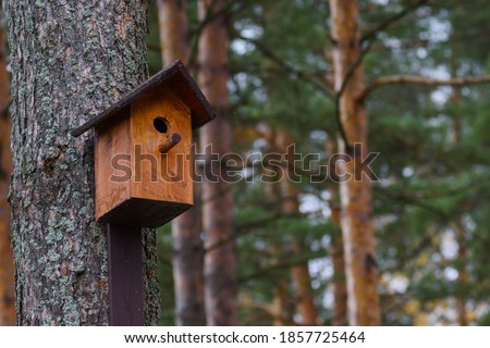 Closeup photo of a wooden brown birdhouse on a trunk of a tree in the park. A house for the birds. Bird feeder. Copy space