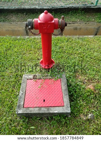 Red Fire Hydrant with Grass Background.