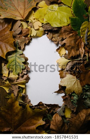 Autumn frame horizontal white background