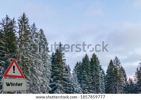 Sign Winter in Front of Fir Trees with Snow