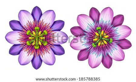 abstract exotic passion flowers clip art set, graphic illustration isolated on white background