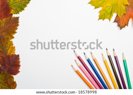 Multi-coloured pencils and autumn leaves on a white background. We draw autumn.