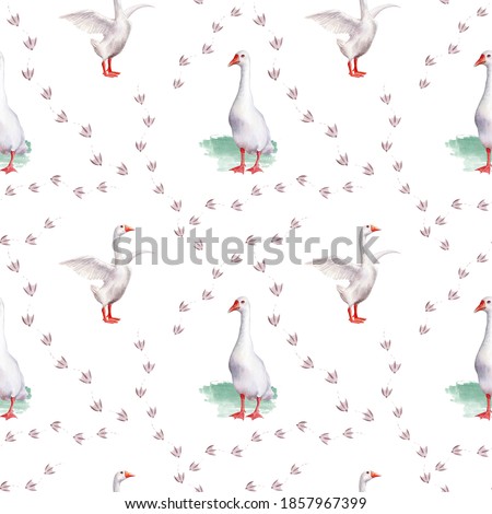 Seamless watercolor pattern with a picture of poultry. white goose. Crow's feet.