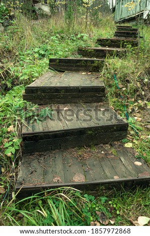old wooden staircase covered with moss among trees and grass. High quality photo