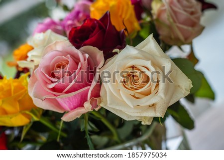 Bouquet of colorful beautiful rose 