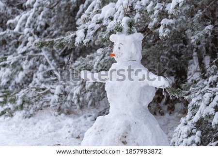 Snowman with hands in winter forest 