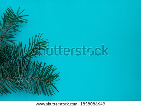 postcard for the holidays. Colored background, flowers and spruce