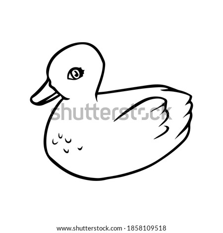 Hand drawn baby swan isolated on white background. Vector illustration for kids. Coloring book EPS 10