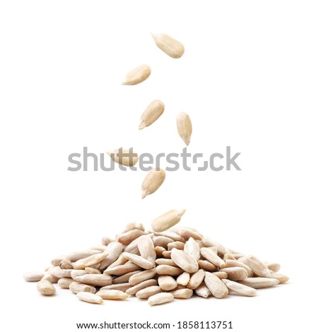 Sunflower kernels fall on a pile on a white background. Isolated