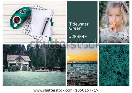 Collage set made of photos toning in Tidewater Green color. Trendy creative design in color of 2021 Royalty-Free Stock Photo #1858157719