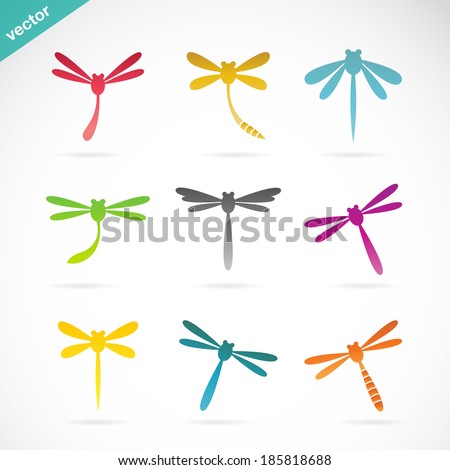 Vector group of dragonfly on white background, Vector dragonfly for your design.