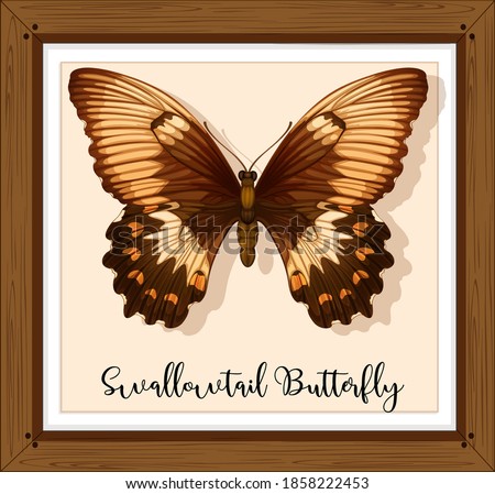 Butterfly on wooden frame illustration