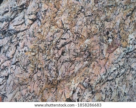 The surface of the gray stone mixed with orange.