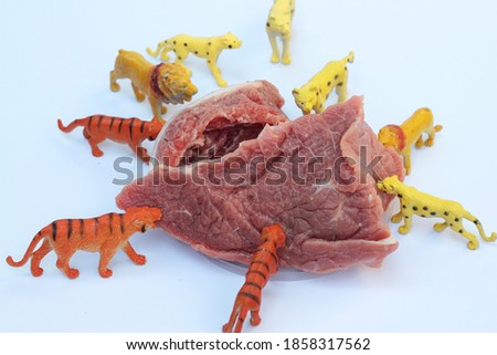toy lions and tigers with big fresh cuts of meat
