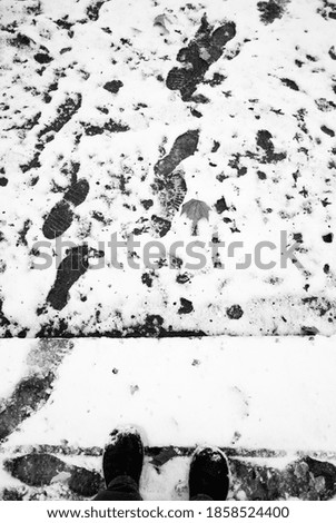 Footprints and bird traces in the snow on the street. Top view. Background and texture. Black and white.