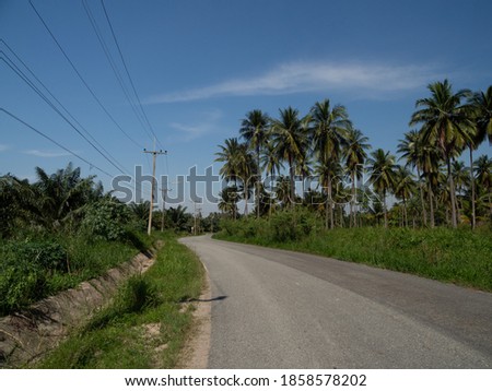 view on the curved road, on the road overlooking the coconut tree. With far side, picture Is a view of the mountains and the sky that can be seen comfortably On the day of our trip
