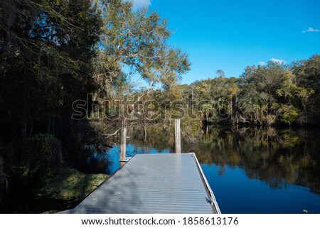 The landscape of Tampa and Hillsborough river in Florida