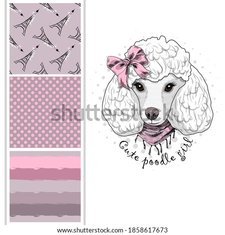 Set of vector seamless patterns and  illustration of dressed dog. Cute white poodle girl with bow. Print on T-shirts, bags and other fashion products. Design children's clothing and accessories. 