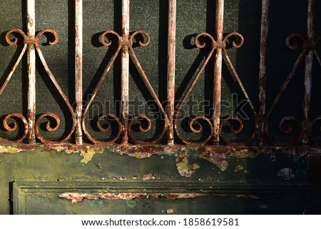 Old rusty wrought iron door - France