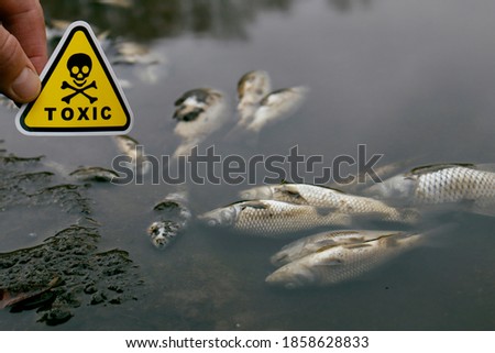 a dead fish on the riverbank with a yellow toxicity mark in his hand