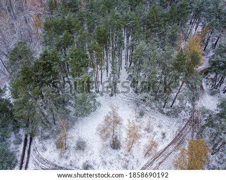 Aerial drone view. Snow-covered autumn trees in the park. A thin layer of first snow on trees and ground.