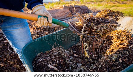 Using a pitchfork to add wood chips and shredded brush to a no-dig raised bed for permaculture gardening Royalty-Free Stock Photo #1858746955