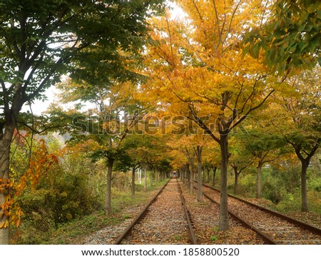 Grainy out of focus autumn season railway tracks picture