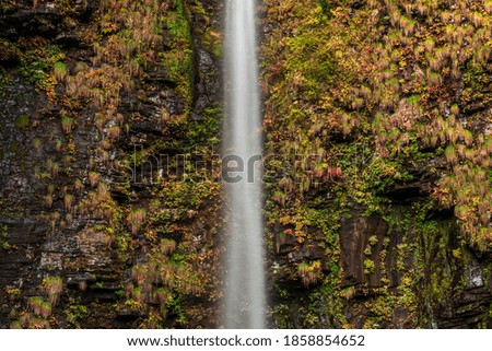 Waterfall in the autumnal forest.